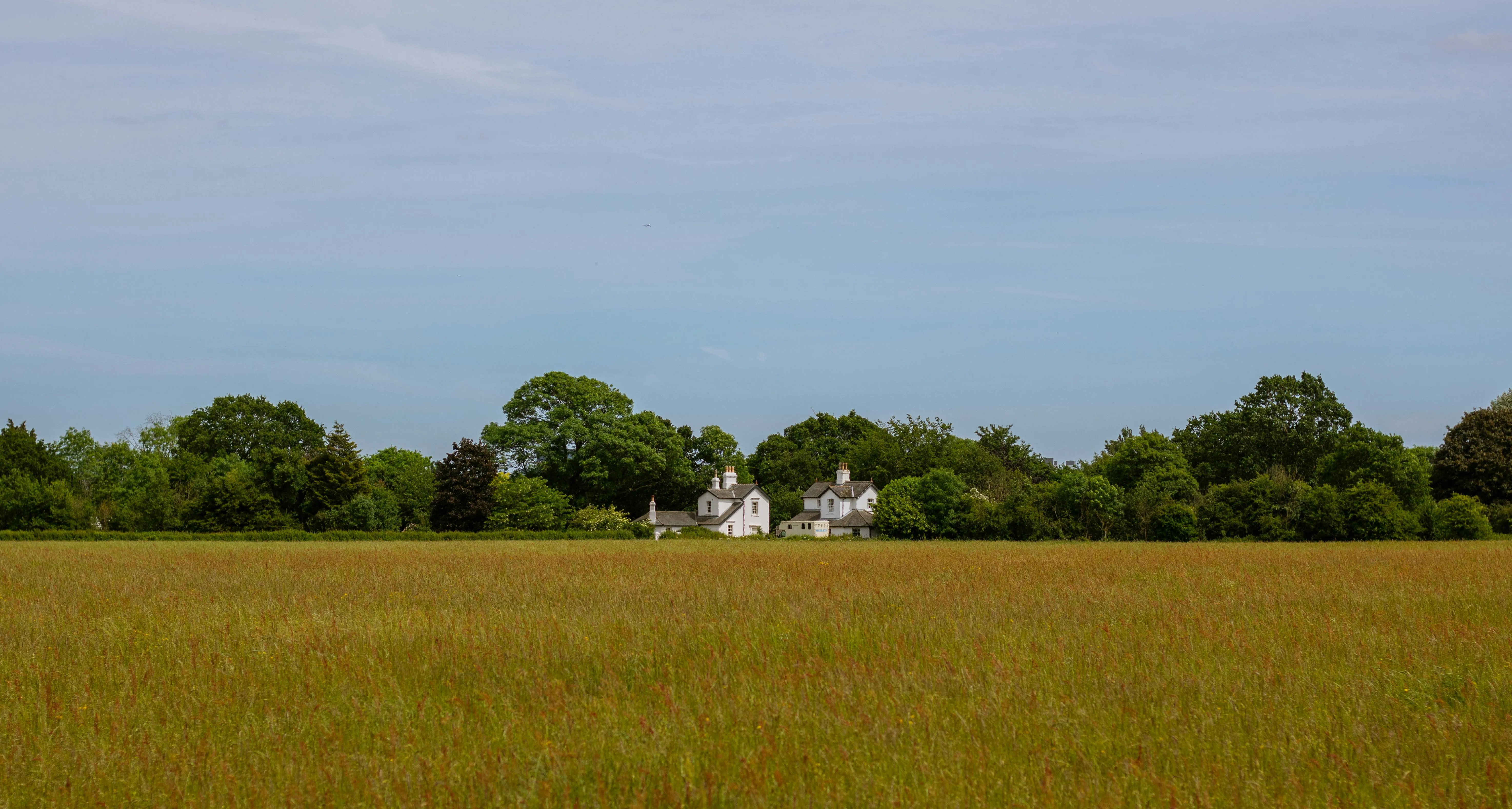 Agriculture Properties